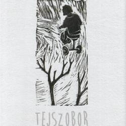 Tejszobor