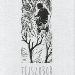 Tejszobor