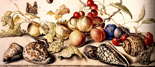 Balthasar van der Ast: Csendélet gyümölcsökkel és kagylókkal (részlet)