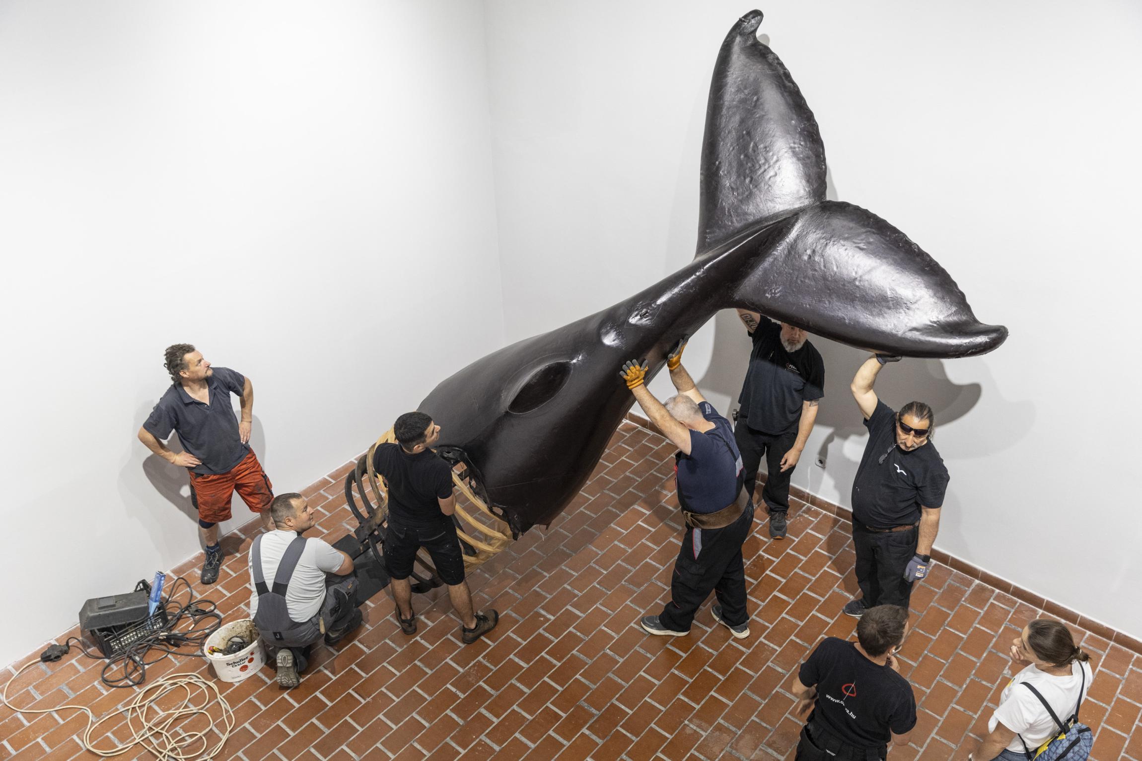 Útvesztőként megidézett mondatok