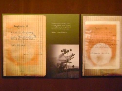 A Razglednicák kézirata