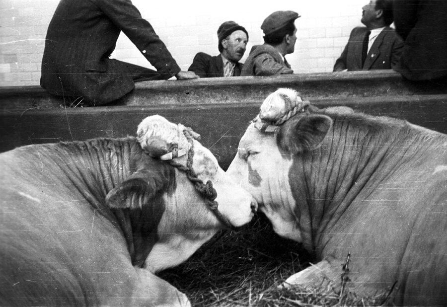 Foto: Fortepan/Krasznai Gyula