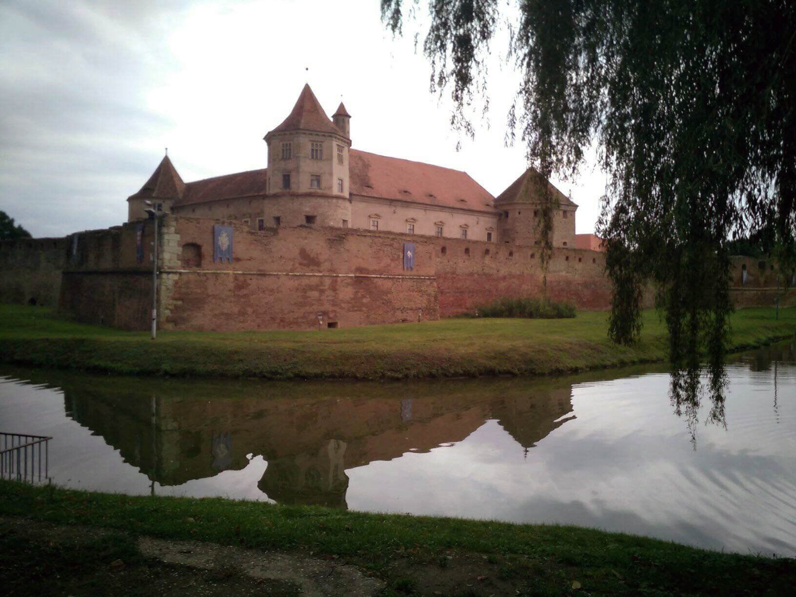 A szerző fotója