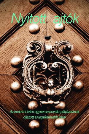 Nyitott ajtók – novellapályázat – 2011