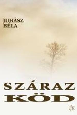 Száraz köd