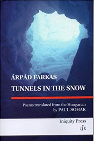 Tunnels in the Snow