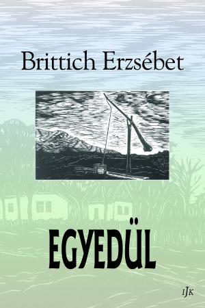 Brittich Erzsébet: Egyedül