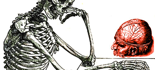 Vesalius-montázs