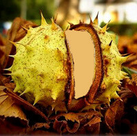 Acsai Roland: TÜKÖRKÉP NÉLKÜL – versek, novella