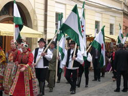 Anarchista Mátyás-kép?