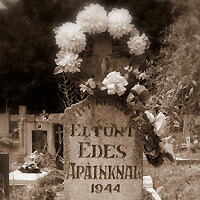 CZAKÓ GÁBOR: MÉG EGY EMBER – filmnovella