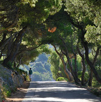 Keszthelyi Rezső: EMLÉKMACSKA – elbeszélés, első rész