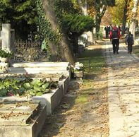 Merényi Krisztián: Sírok között