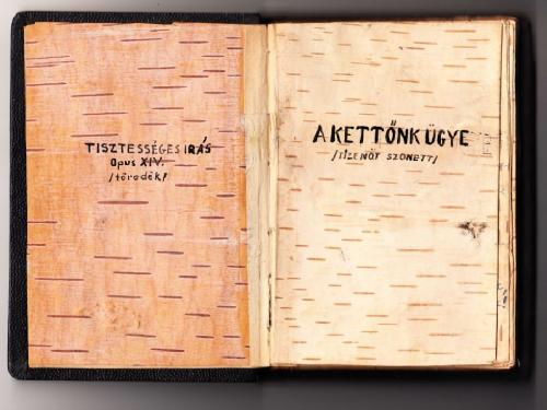 Nincs más út, csak a könnyebb út - FISZ-JAK-est - Sínbuszdarabok 2.