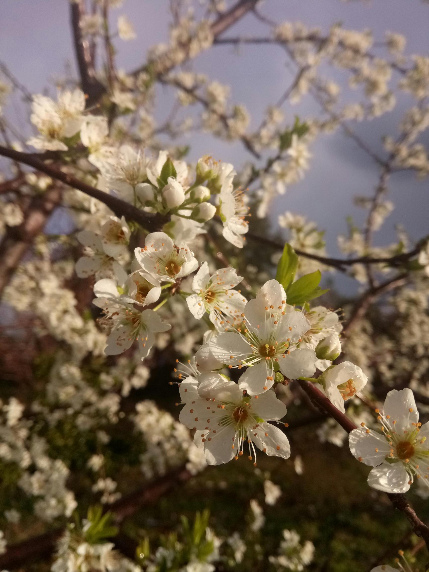 Az ébredés öli meg az embert
