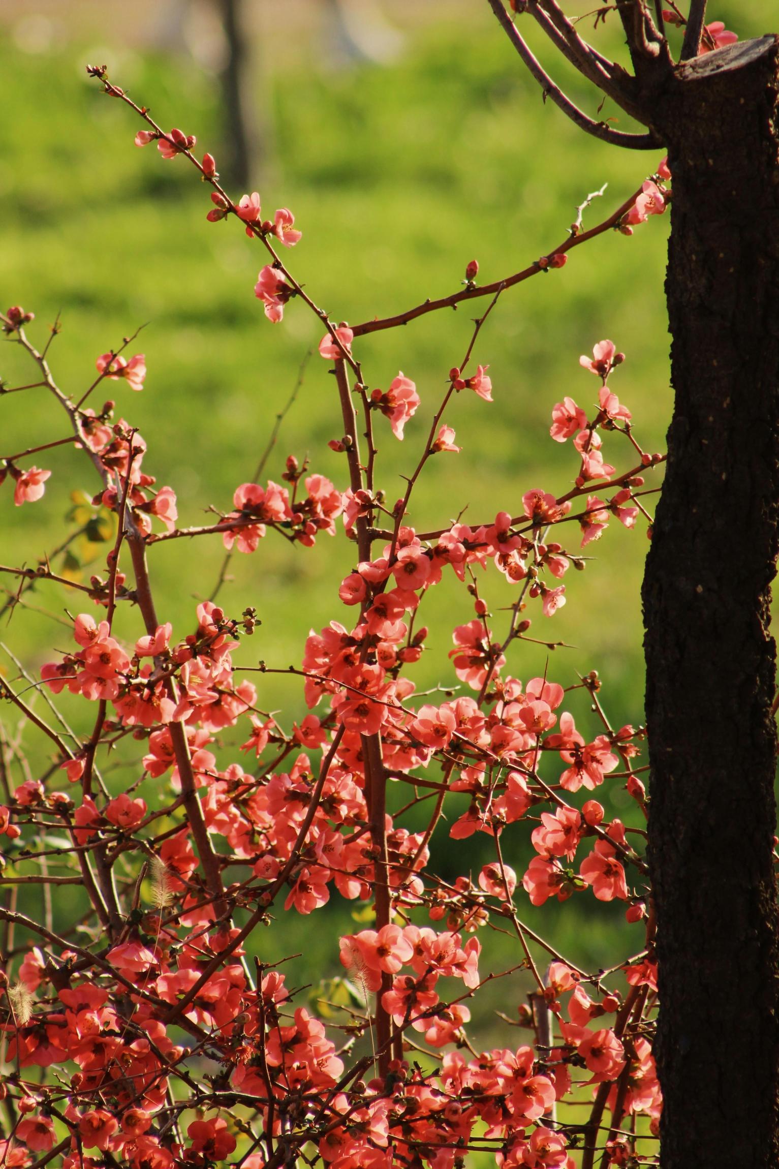 Ha majd eleget nézik