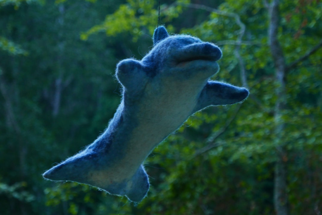 Delfin Székelyföldön