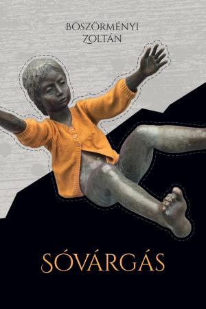 Böszörményi Zoltán: Sóvárgás