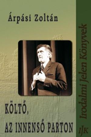 Költő, az innenső parton