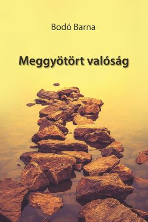 Meggyötört valóság