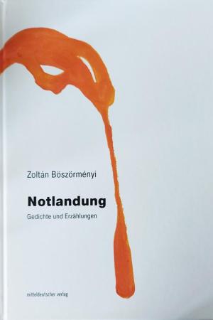 Notlandung – Gedichte und Erzählungen